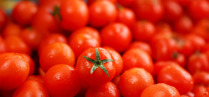 BANNER-Tomate interfere novamente no custo da cesta básica em Cuiabá_ dessa vez, ficando mais caro