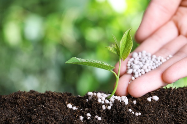 Demanda internacional sustenta alta dos fertilizantes em 2026 e aperta produtor brasileiro