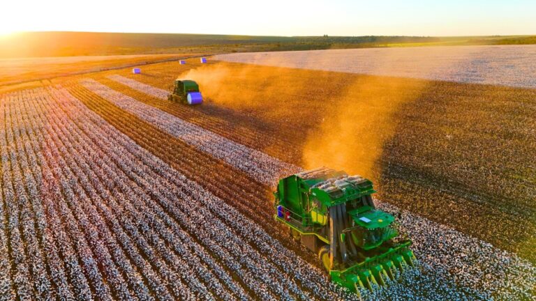 Seminário sobre agronegócio reúne autoridades e especialistas para debater sustentabilidade, regulação e segurança jurídica