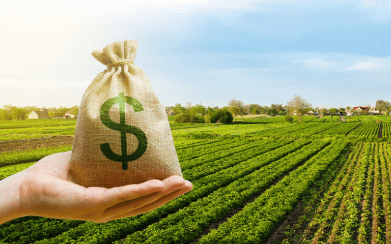 Produtor rural paulista amplia uso de capital próprio e redesenha comportamento no campo, aponta ABMRA