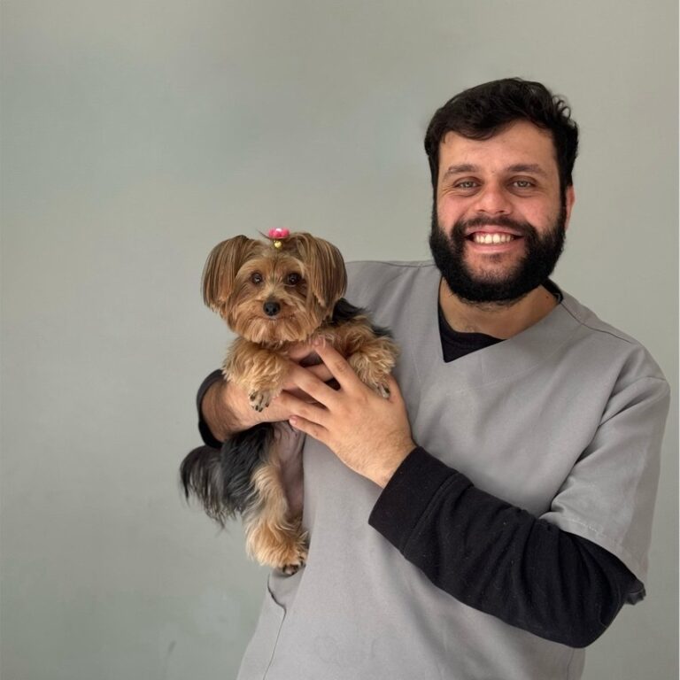 Pets precisam de cuidados especiais para evitar estresse em dias de jogos da Copa do Mundo, alerta veterinário