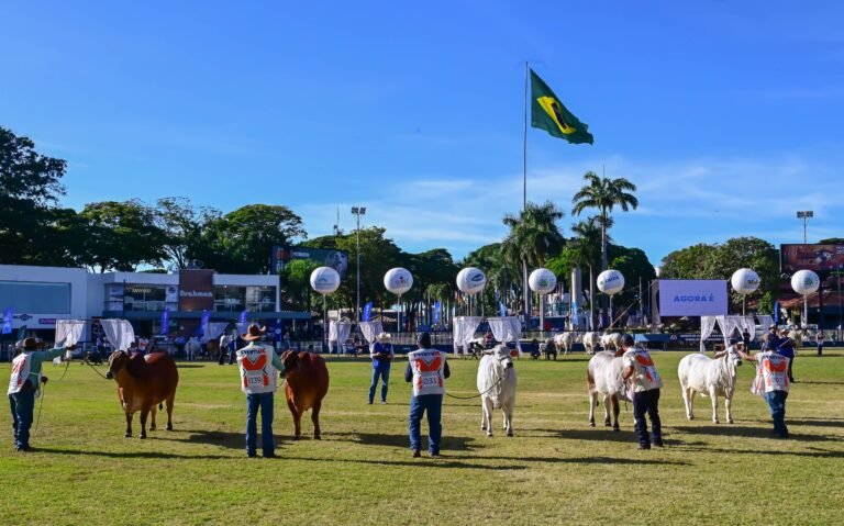 Associação de Brahman abre inscrições de animais para a 22ª ExpoBrahman