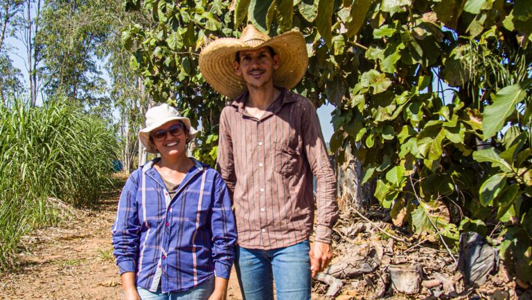 Assistência técnica ajuda pequenos pecuaristas de Mato Grosso a melhorar a produção e ampliar renda