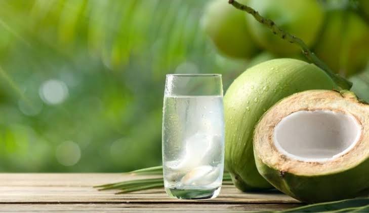 Água de coco não é tudo igual: origem, clima e maturação do fruto influenciam sabor e características da bebida